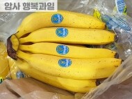 바나나 (1송이)