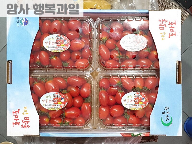 빈손장보기,방울토마토 (1팩)