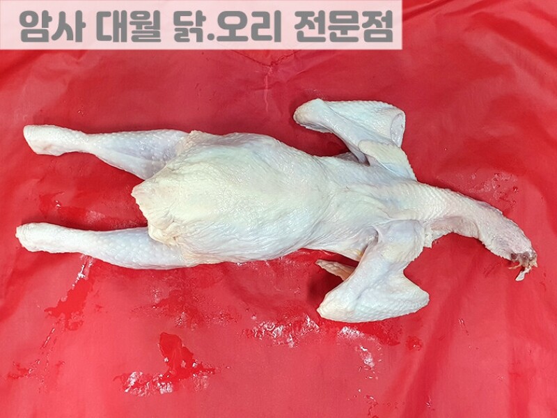 빈손장보기,토종닭 (1.6KG)