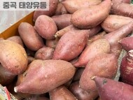 해남 호박고구마(1kg)