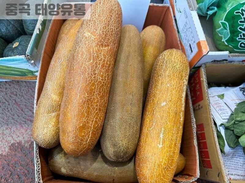 빈손장보기,노각