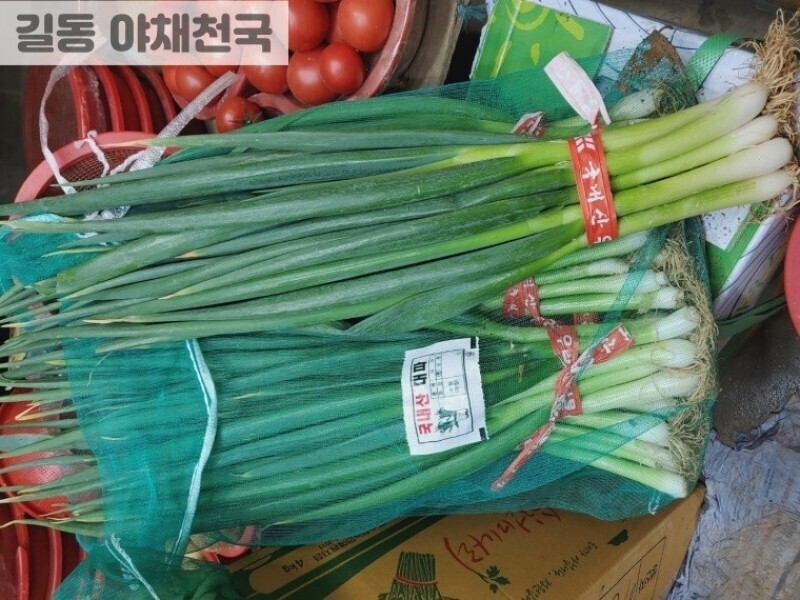 빈손장보기,대파(1단)