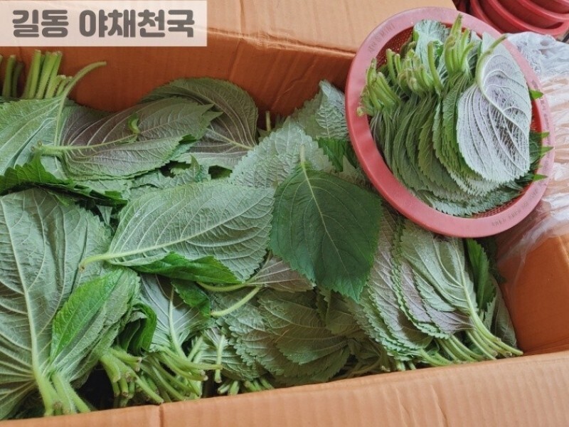 빈손장보기,깻잎 (1바구니)