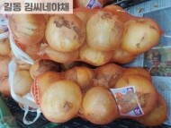 양파