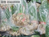흙쪽파(1단)