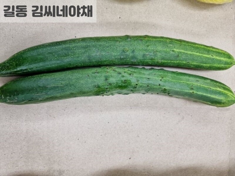 빈손장보기,청오이(특2개)