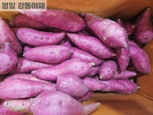 호박고구마(1kg)