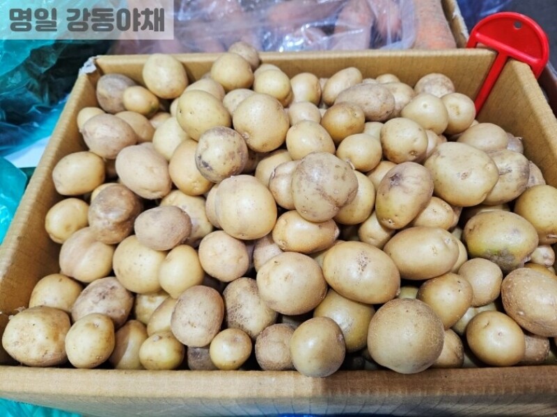 빈손장보기,알감자(1kg)