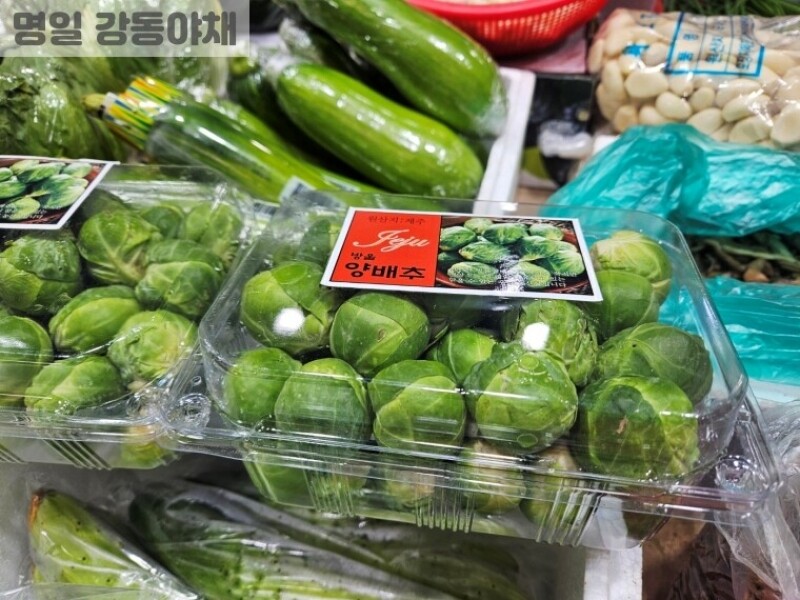 빈손장보기,미니양배추(1팩,600g)