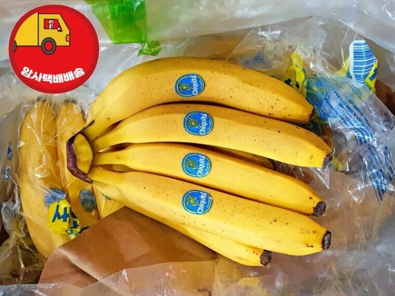 빈손장보기,[암사택배배송]바나나 (1송이)
